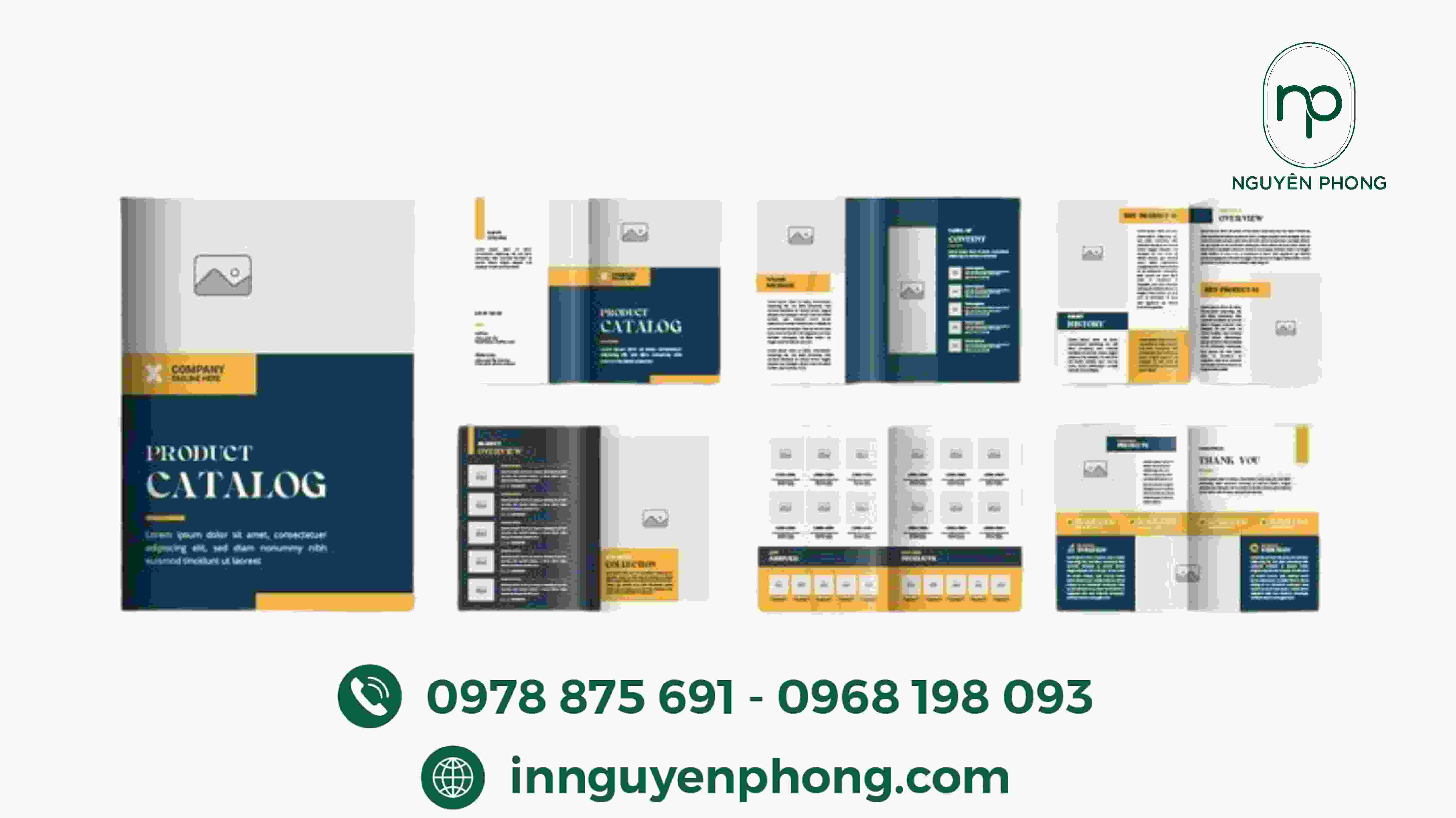 kich-thuoc-catalogue